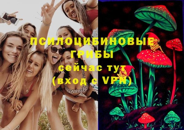 каннабис Аркадак